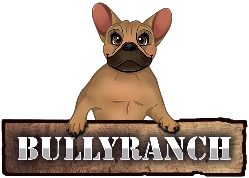 bullyranch.store