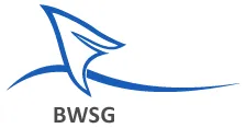 bwsg-berlin.de