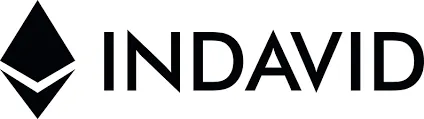 indavid.com