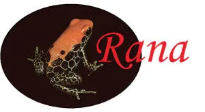 rana-terrarienbau.de