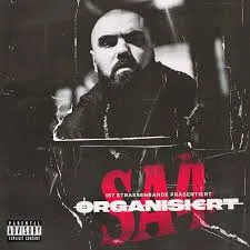 sa4-organisiert.de