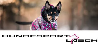 hundesport-lasch.de