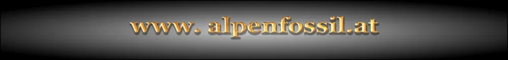 alpenfossil.at