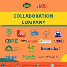 adacompany.com