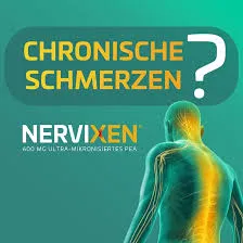 nervixen.de