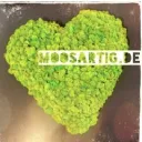 moosartig.de