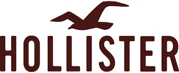 hollisterco-neu.de