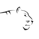 gastrotiger.de