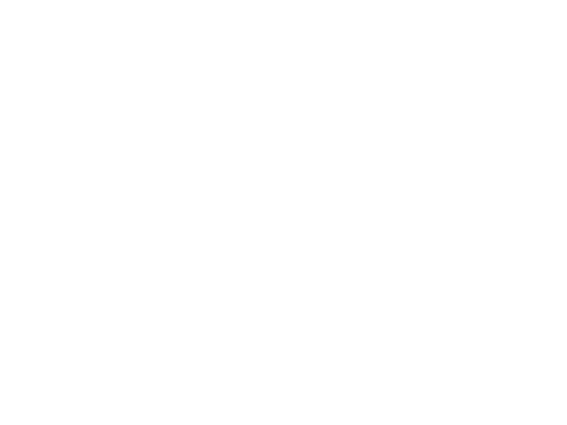 bison-ranch.at