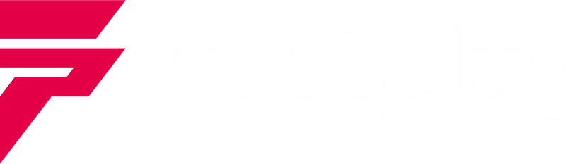 fastplug.de