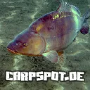 carpspot.de