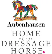 aubenhausen-club.de