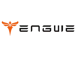 engwe-bikes.com