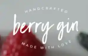 berry-gin.com