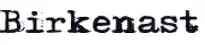 birkenast.ch