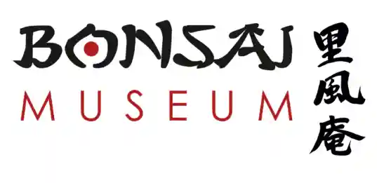 bonsai.at