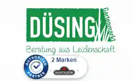 duesing-ggg.de