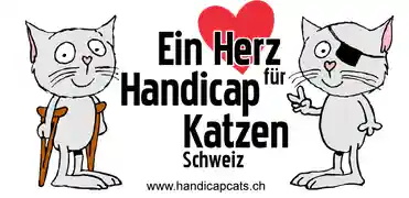 handicapcats.ch