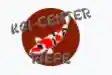 koi-center-riepe.de