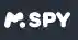 mspy.com.de