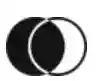 noom.at