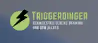 triggerdinger.de