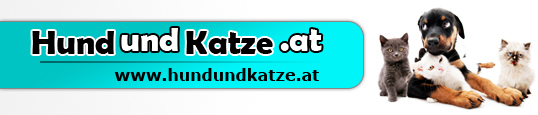 hundundkatze.at